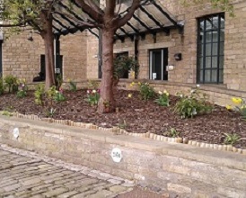 Raised planter outside Sparck Jones Building