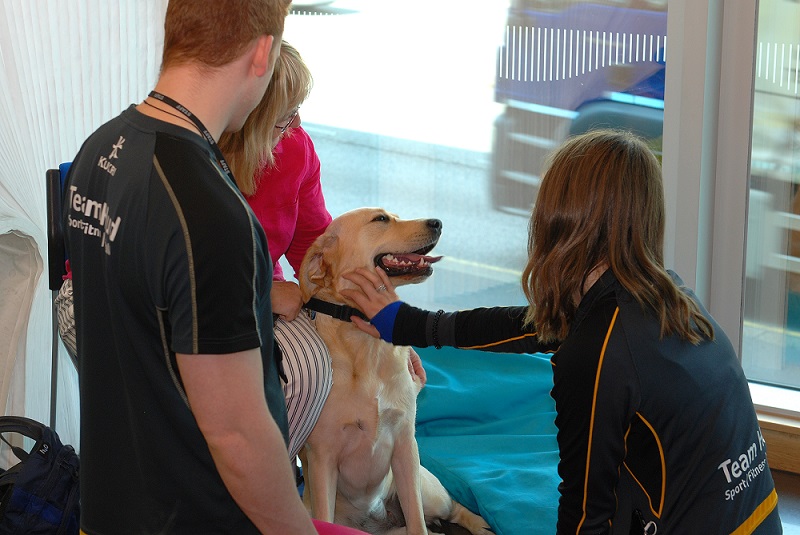 Staff Wellbeing and Benefits Fair Guide Dog
