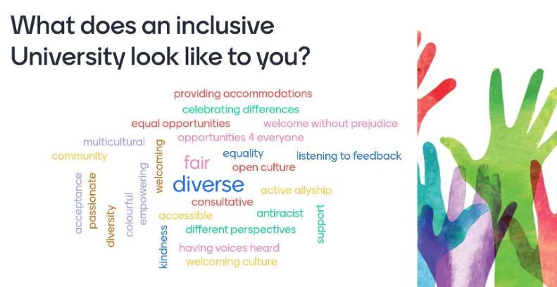 What does an inclusive university look like to you